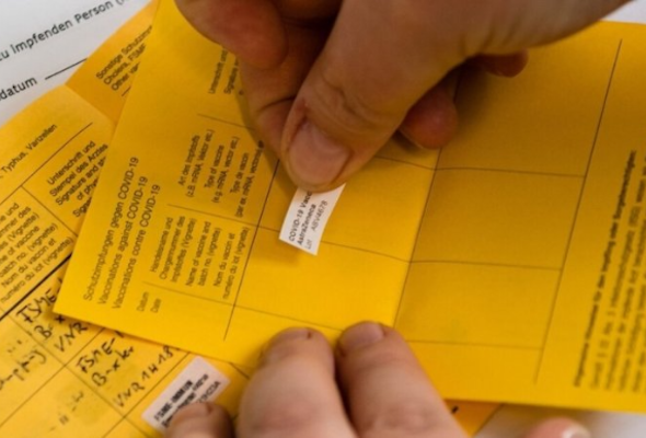 викрито два злочинні угруповання, які підробляли тести та сертифікати