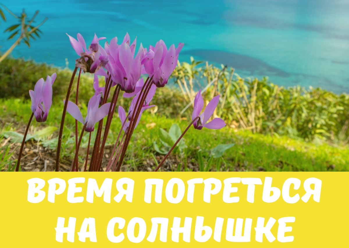  Кіпр навесні
