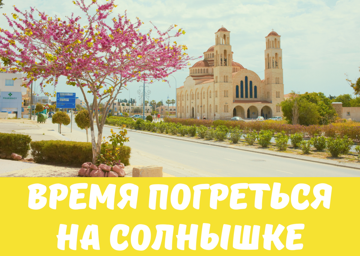 Кіпр весняний