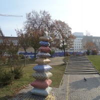 DSC01992