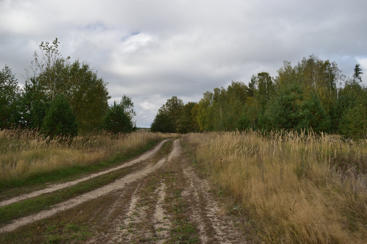  польові дороги північніше річки Сивінь.