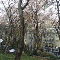 DSC01975