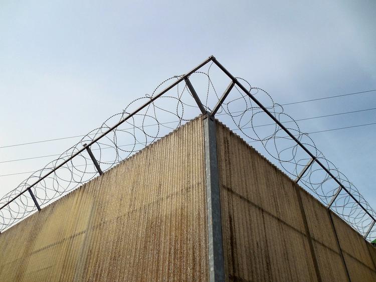  Польща побудує стіну з колючого дроту на кордоні з російським Калінінградом 