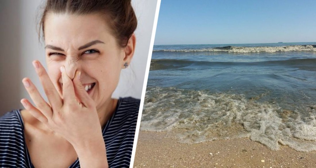  Туристам пояснили причину гнильного запаху на Чорному морі 